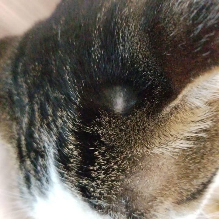 60082e50 0178 40f4 854e 756e12748270 1589836832842