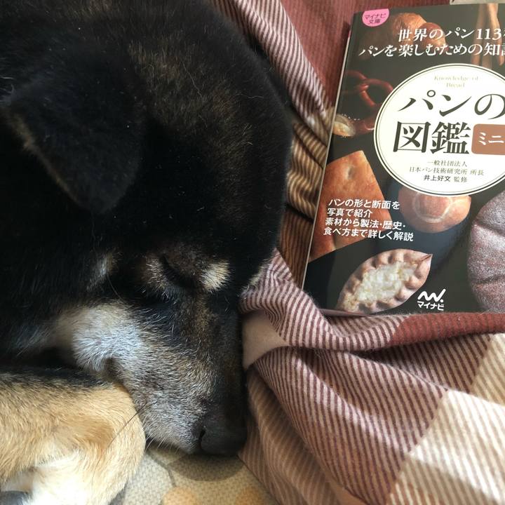 60083112 97f1 4b96 a500 c49c84c0b683 1541935045773