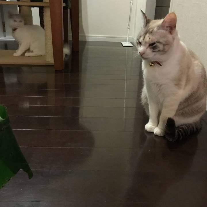 60085fa6 2764 4ba7 b41e 3e824c2afb8a 1512386453159