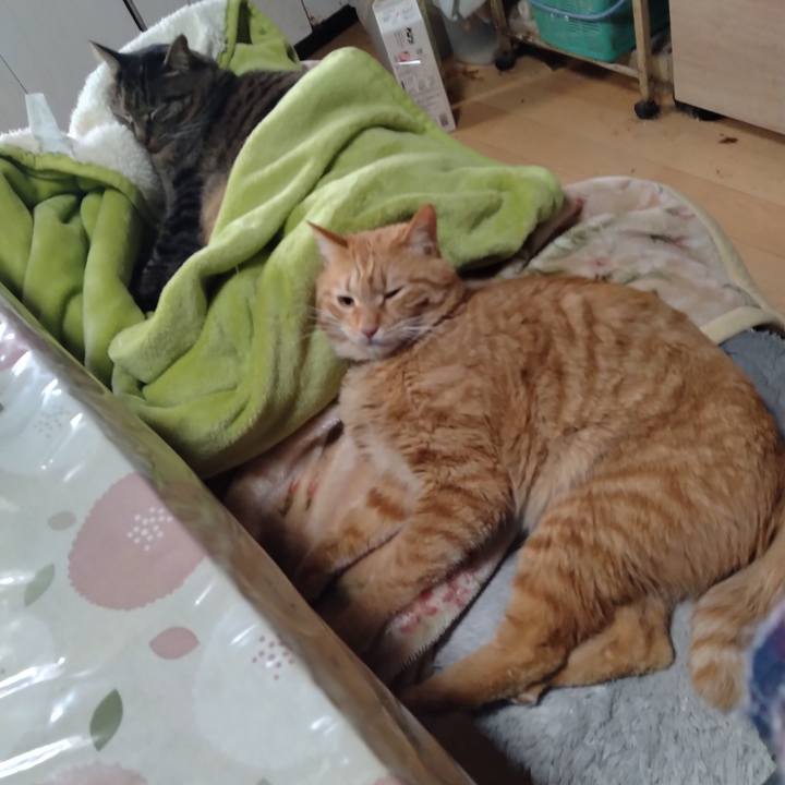 600870a8 61ab 4d44 9694 ca3abde118ae 1675297677640