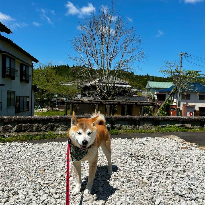 600882ce f15a 4cdf a365 0602dbfb0013 1714043873802