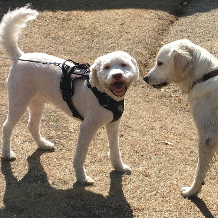 6008833a 8c97 40e2 aad5 78e5edda281f 1546802710419