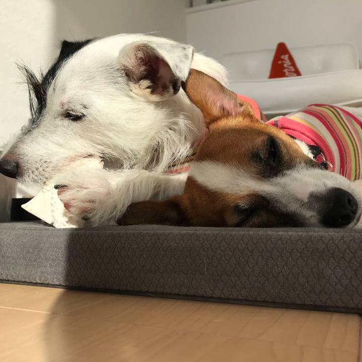 60088eaa 8dc6 454b b00d 020e446e57c3 1509340744043