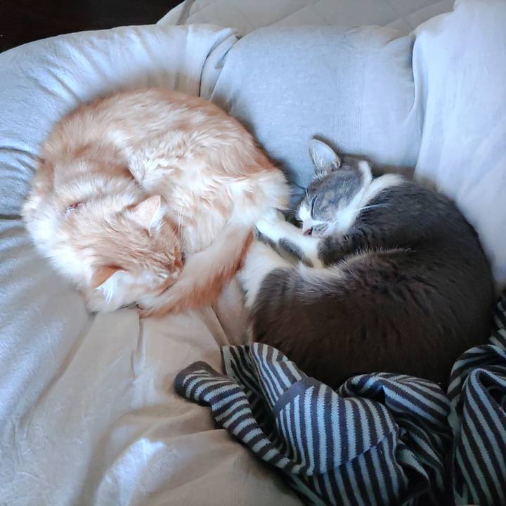 6008964b 1cae 4fc3 bdee b5acd5aa77fd 1701999676377