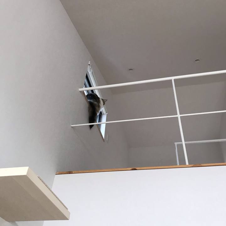 600897d2 70a6 4003 92ab c4c6169c9eb6 1553902908429