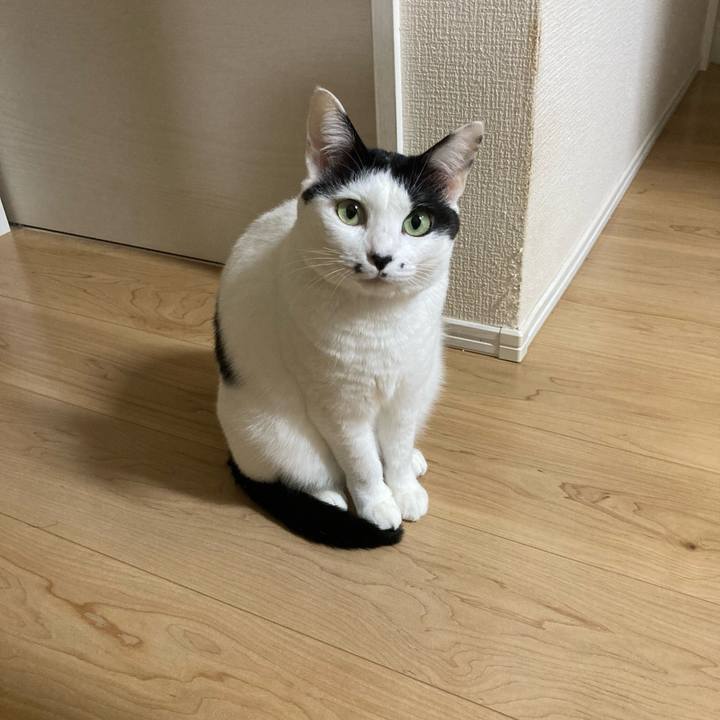 6008a3ad e4f6 43a2 85c0 801a06135ce8 1760818148378