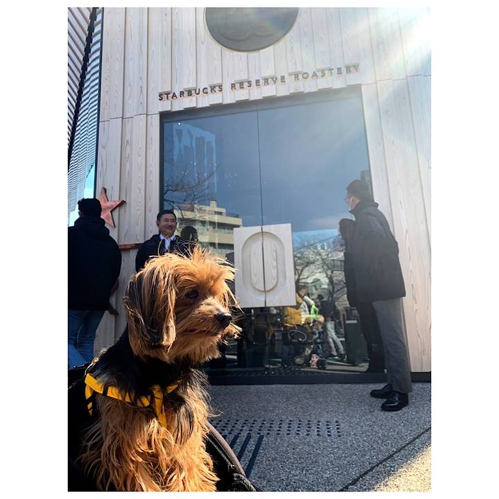 6008b027 ee9c 4908 b7c6 91f74747e734 1551505486283