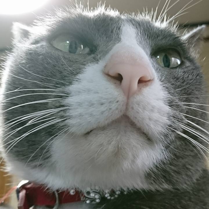 6008e511 1d0c 4742 b2f1 83b4d9bd2f2d 1511566470864