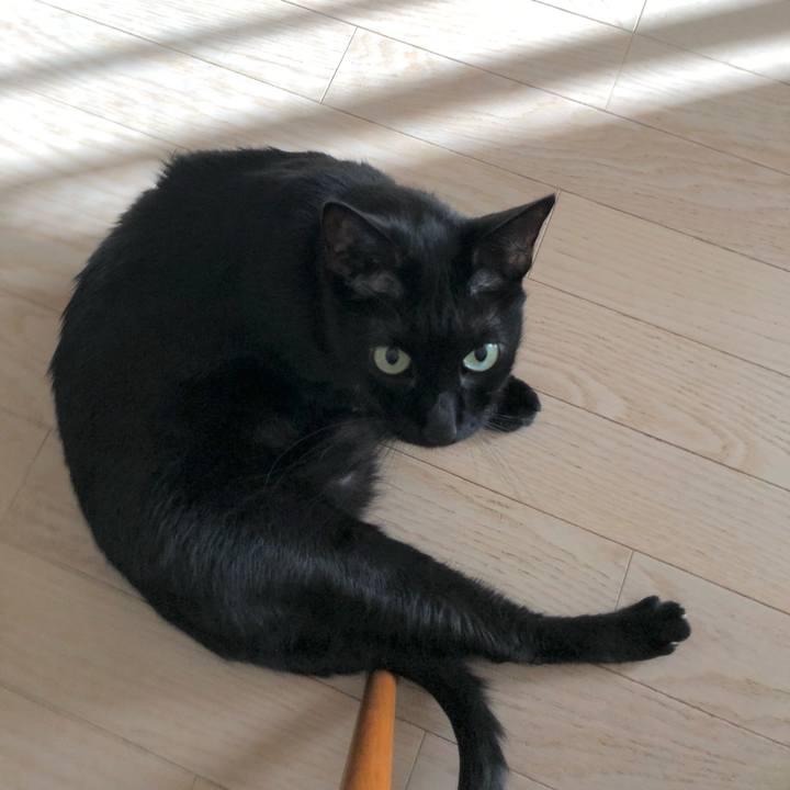 6008fd9f 6086 49f0 8e8c 9ab849d63e7e 1629377946217