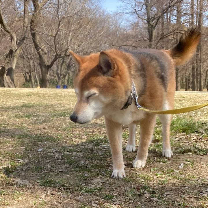 60090ee9 dfc1 4b3f ab34 efe68983e60a 1646883161271