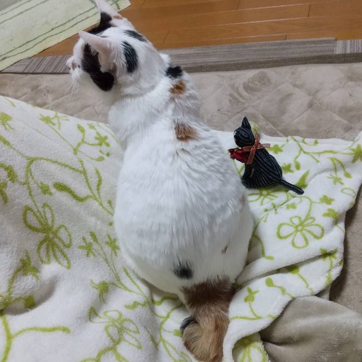 60094960 b221 47d4 84b1 f3550b639271 1674126785233