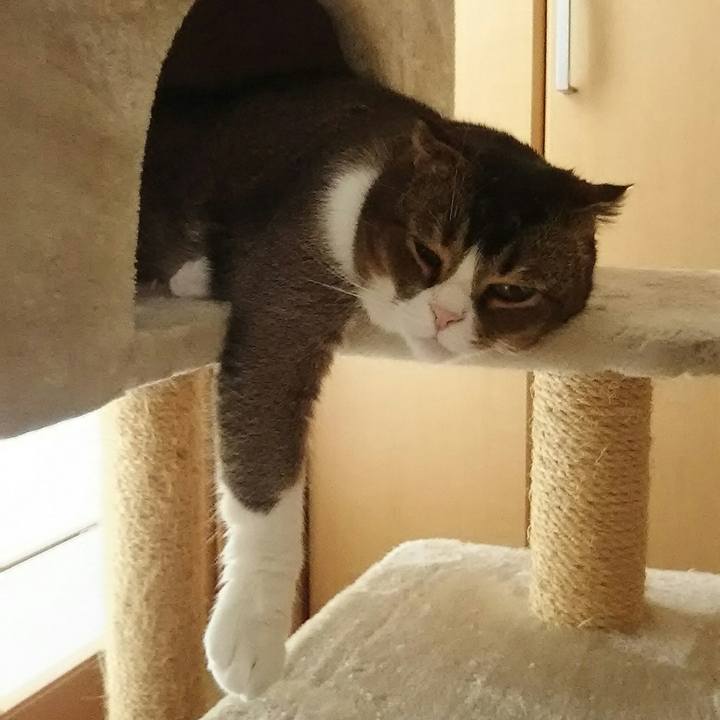 60098c12 0860 41da a8af a192054edf06 1527298879457