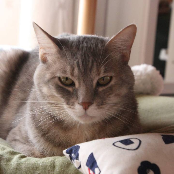 60099990 175c 4412 9205 1b3b267c6ec8 1552721777866