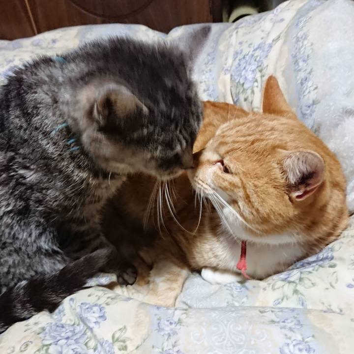 60099b96 f3d0 42b6 b10d cb9578ed4a47 1575461248203