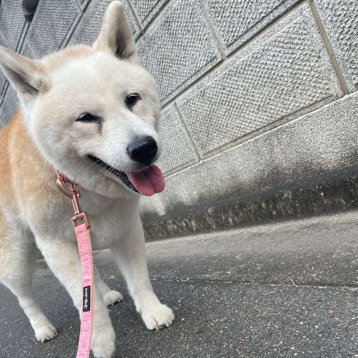 6009b7ac 4162 4f6e 9d54 9a60ff8df264 1721828548215