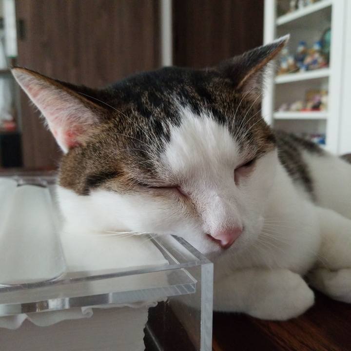 6009bfd2 966a 46b3 9c8a b5cf68608cf4 1561672136340