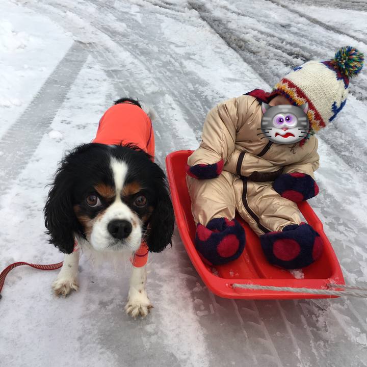 6009e008 96d0 4b59 b3b0 1b8fe5f115b3 1514859677831