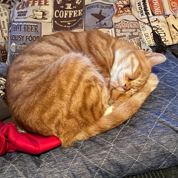 6009e3d6 465b 484a 9491 d4909fc35840 1588761385636