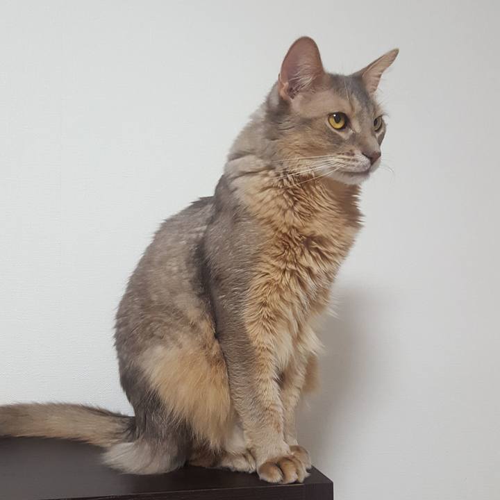 6009efee 2064 4c79 9a70 faff6c61aa1f 1580996997646