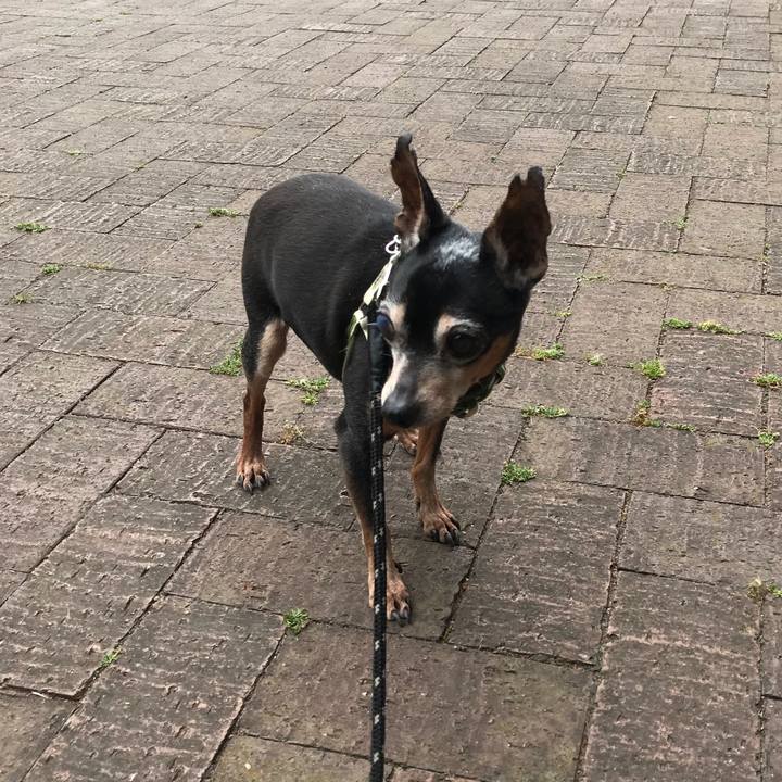 6009f175 57d4 4c8c 8254 eb48195f3820 1556537800302