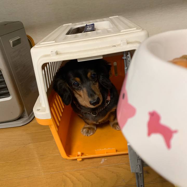 600a30d7 8a16 4b16 88cc 42af646f45f3 1573077294294