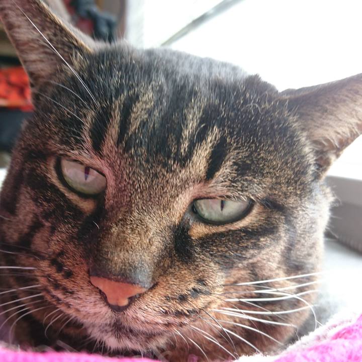 600a40b7 7c4a 4cdc a329 017970865cd5 1547239567194