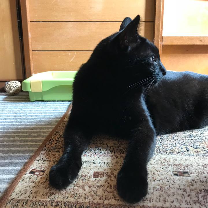 600a6060 d46d 40b5 9a39 8ded764fb6ea 1535069023156