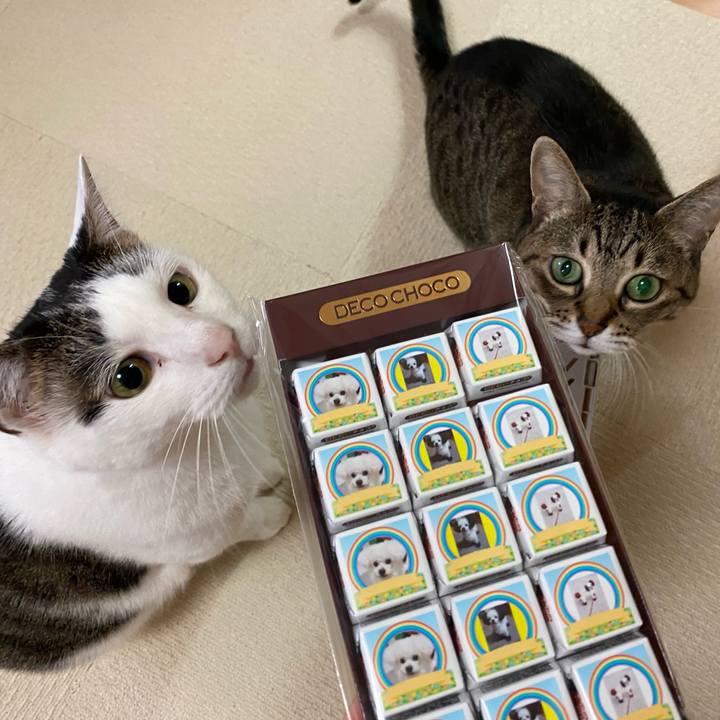 600a824a 6bf6 4ab3 b992 350654165ce3 1771208917729