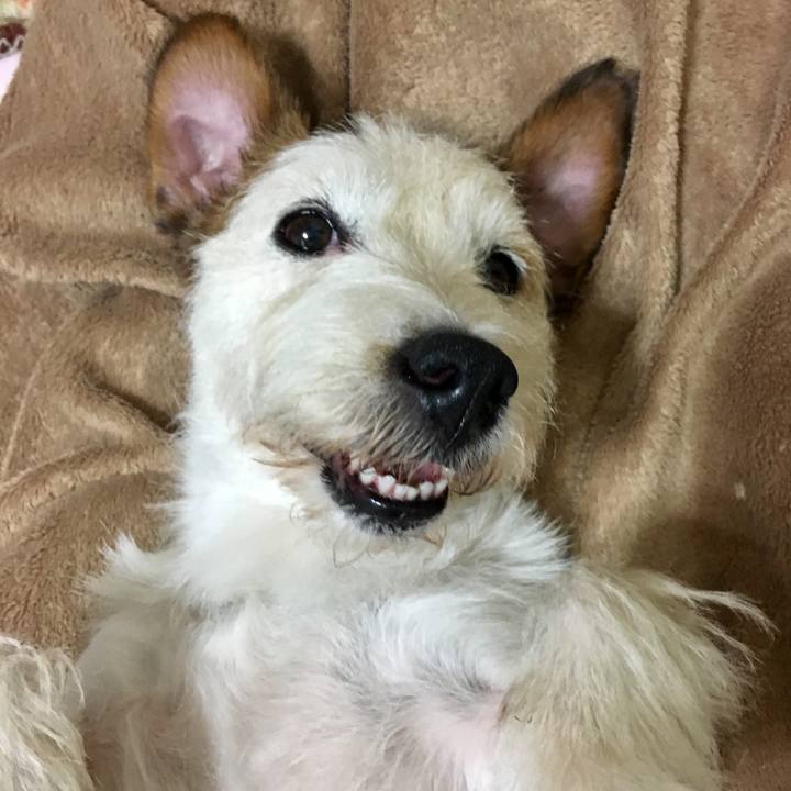 600aa777 88cd 4841 9ed5 81d1a61f74e0 1565964142983