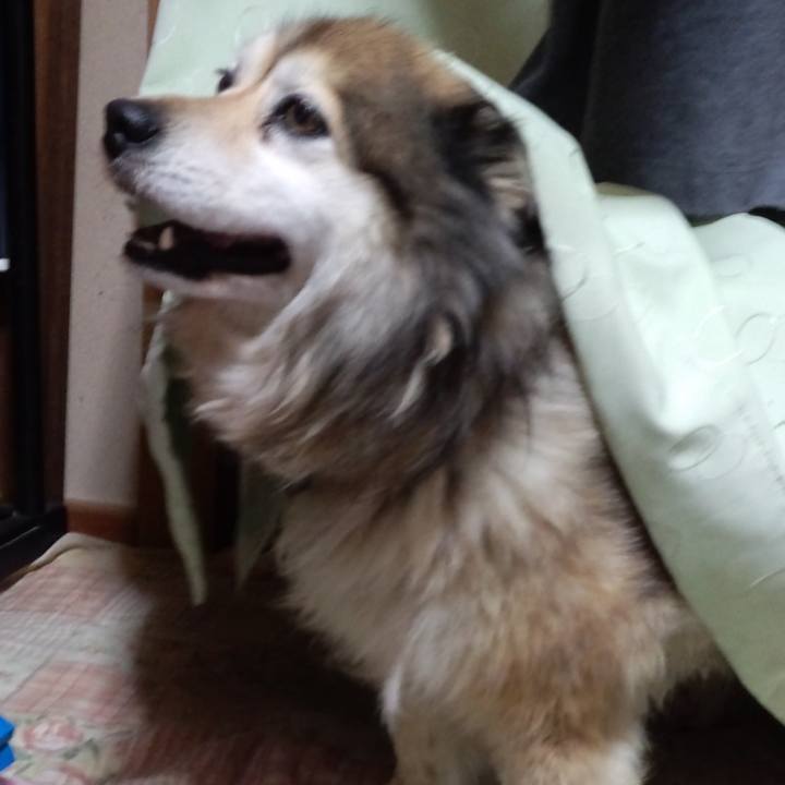 600acfe7 909c 4857 b90d 6ebd32941183 1602355366972