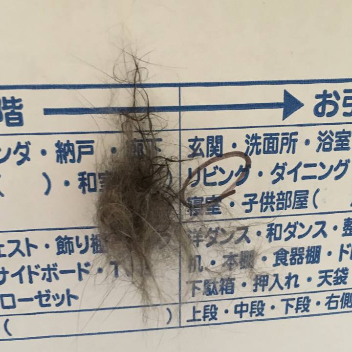 600ae085 f6fd 4ecb 88ea fd96420fa145 1544438269051