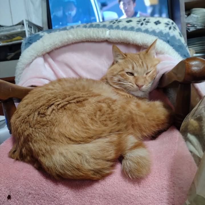 600aee4f 67e4 4eb2 a72e 2c61ebfdef74 1672710543047