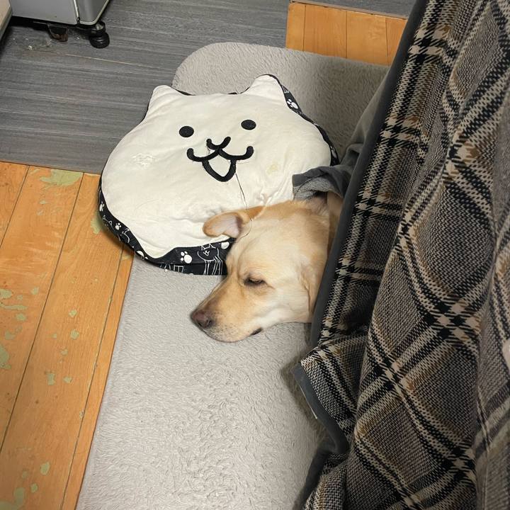 600afb20 468a 4fa1 836b ad25f2a302a0 1705795903926