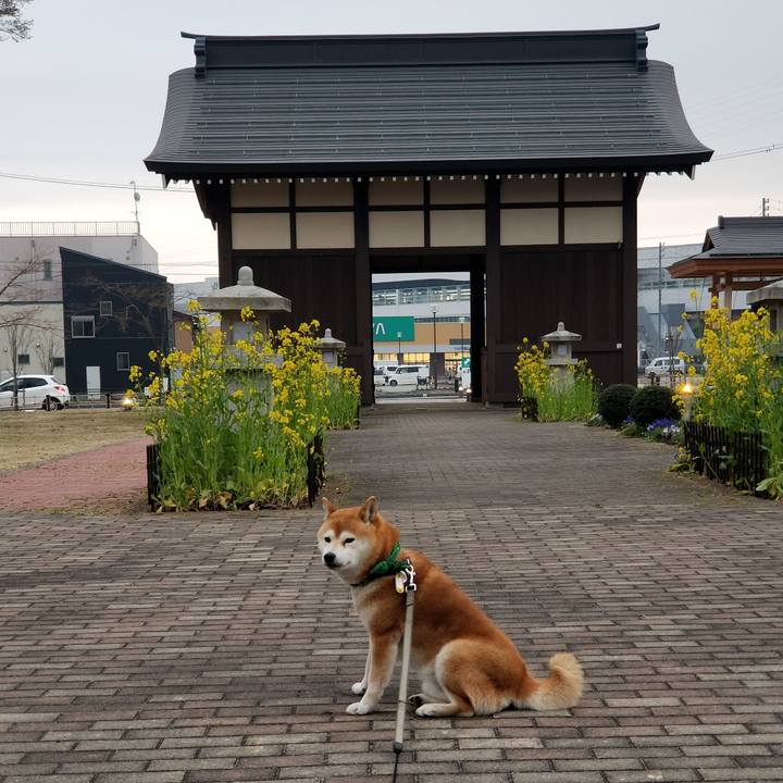 600b10c3 49c0 4715 b71a 1418c7adc054 1555834196336