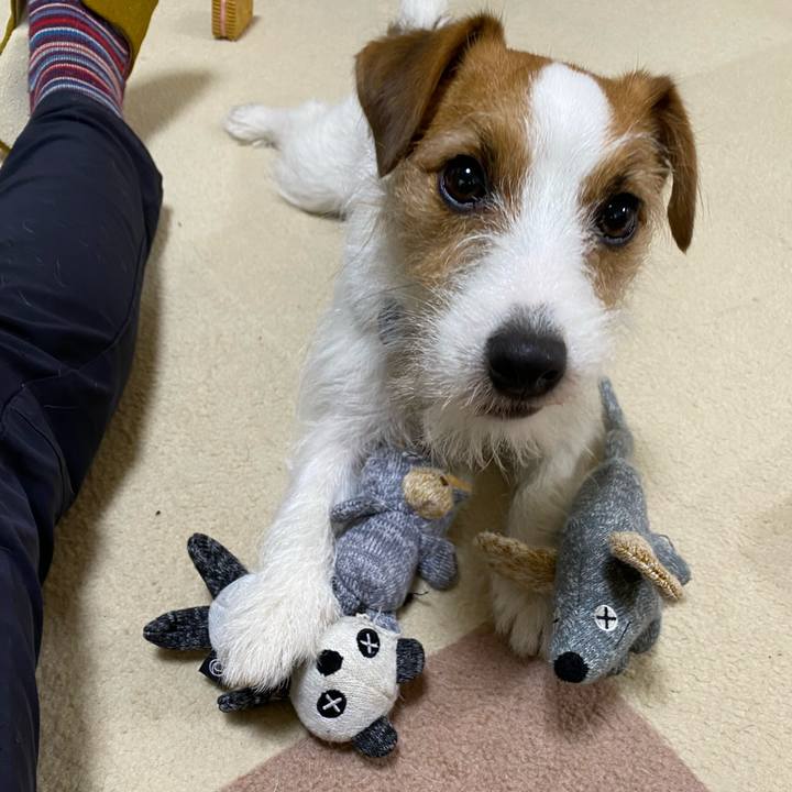 600b1850 c1e7 4b3e 8f2a 7c3fd55ce705 1673754583743