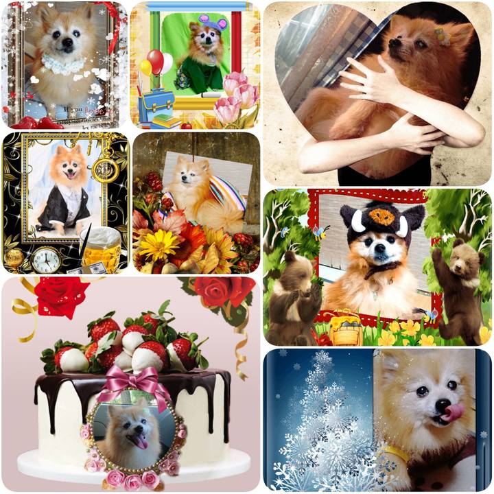 600b6247 f48d 4b7e 8be4 3094862c3975 1605736031095