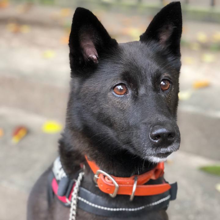 600b7f47 626b 42d8 8349 a1f37a23e2dc 1632520682323