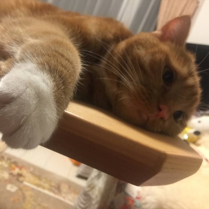 600b89f1 3cd1 4aba ba57 e5410f8f2be7 1530633917460