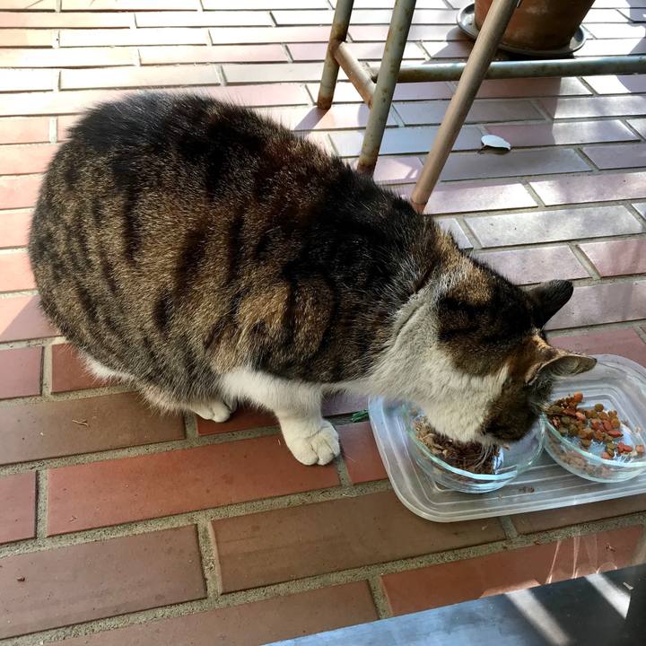 600bb277 b92d 474e 8fb1 601c03e22e45 1548472462937