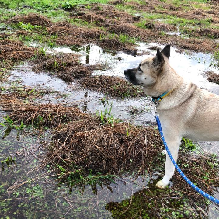 600bc8a2 a9dc 47fb 8342 294a7b5b5cc5 1575287328768