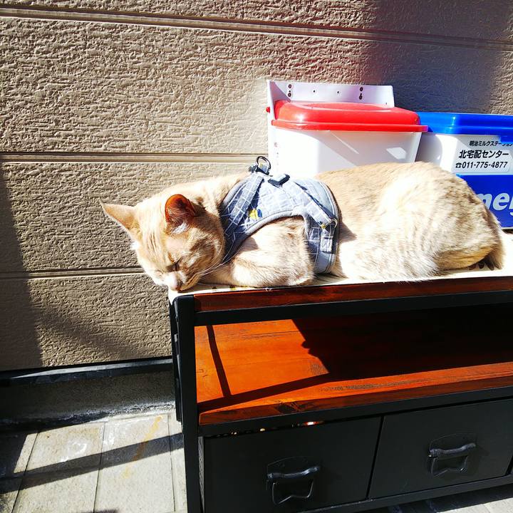 600c2472 2e4b 498e 99a1 26e47da3b92c 1679357268462