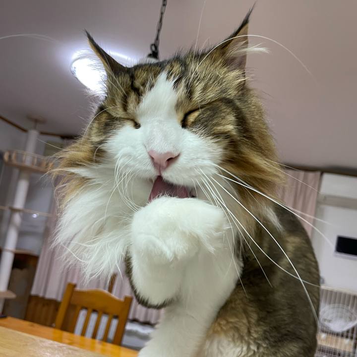 600c8a54 af5b 4ac2 b51e 4f93dadb733c 1689795510557