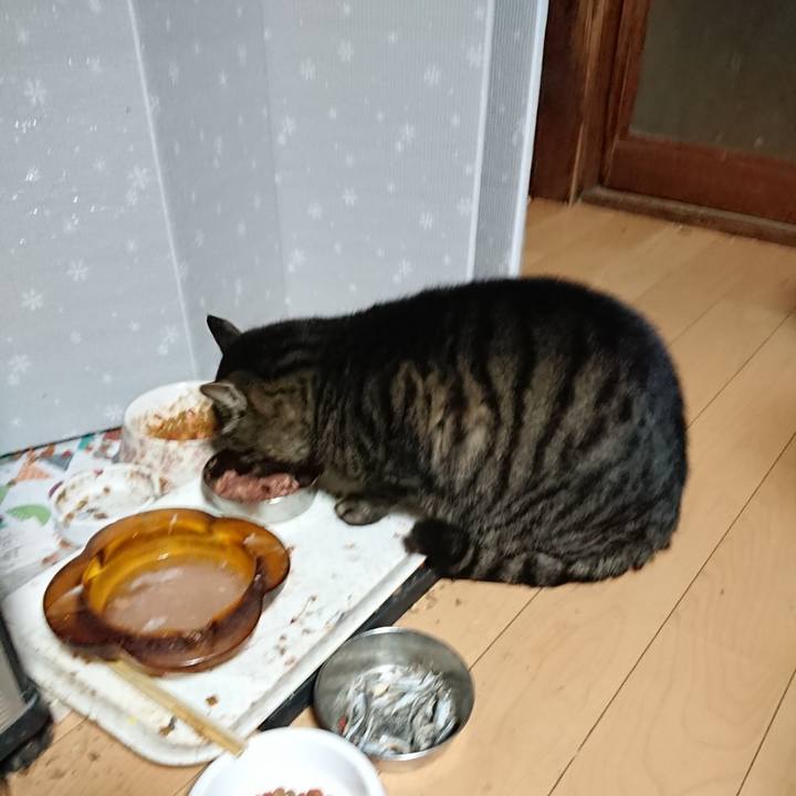 600c9392 fd86 4ab2 92d9 9c1281c58e7e 1640119520015