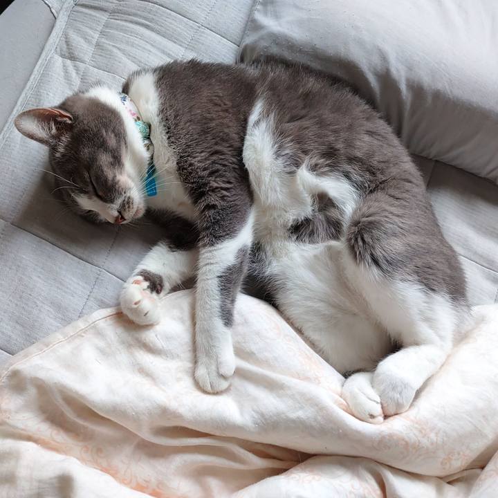 600ca39e 9dcf 4fd1 9a8c a392e090c1d6 1665275420077