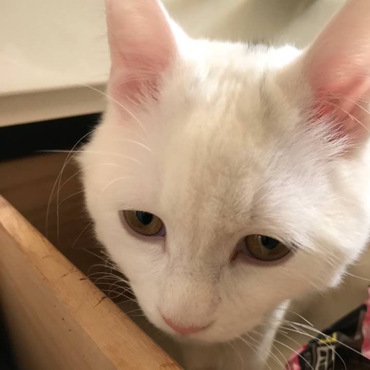 600cc27d f4c8 4a8c 93d2 ef3968e311f0 1515846005875