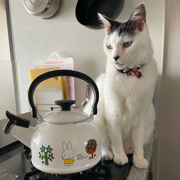 600cce54 3cad 4055 ad71 40e9d4756776 1693352166638