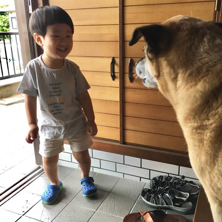 600d3f0c e79d 4877 965b 990140b14f48 1535175374082