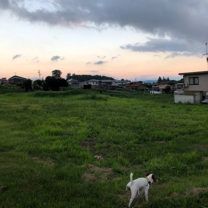 600d50a0 1fa7 4dfa 8197 6af74a20020a 1532345480727