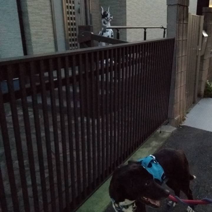 600db238 f0fe 42c3 bc58 09d4c32903ea 1621767060544