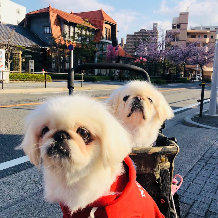 600db9f5 3d2a 4039 b5dc 60bdf02215d5 1615192205919